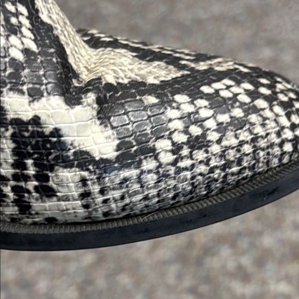 Steve Madden Devan Snakeskin Ankle Boots - Black and Grey - Picture 7 of 10